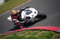 enduro-digital-images;event-digital-images;eventdigitalimages;mallory-park;mallory-park-photographs;mallory-park-trackday;mallory-park-trackday-photographs;no-limits-trackdays;peter-wileman-photography;racing-digital-images;trackday-digital-images;trackday-photos